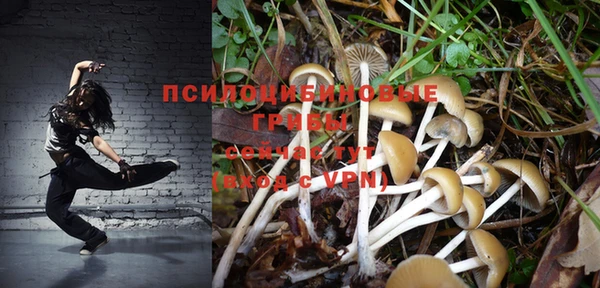 каннабис Алзамай