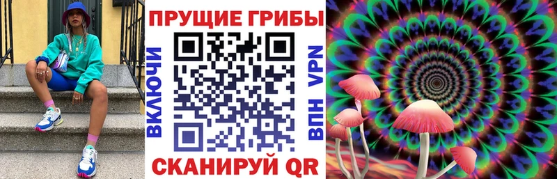 продажа наркотиков  Уфа  Галлюциногенные грибы Cubensis 